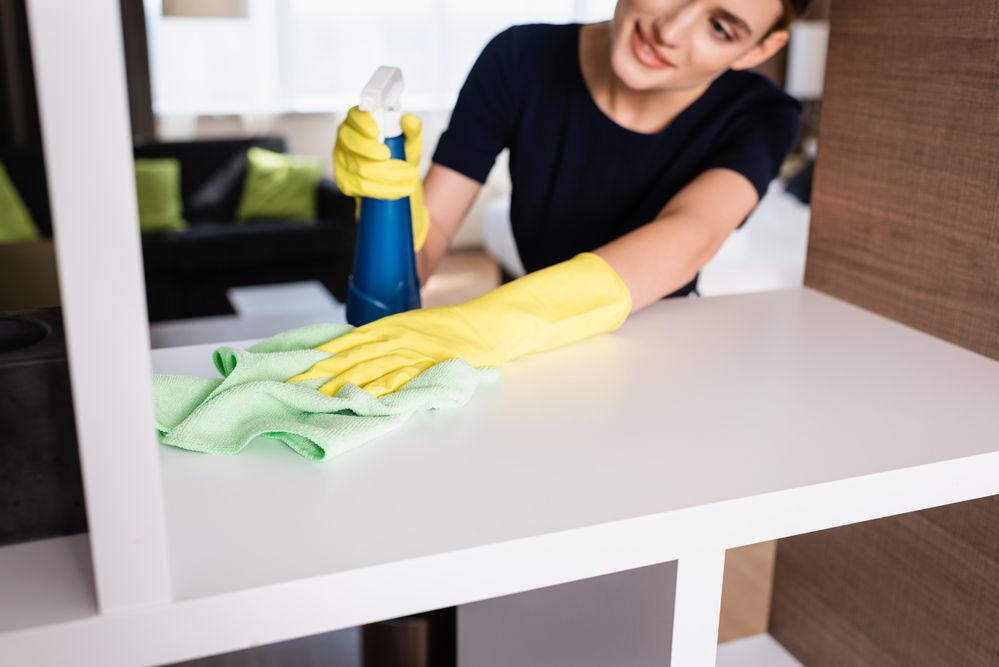 Apartment Maid Services Apartment Maid Services