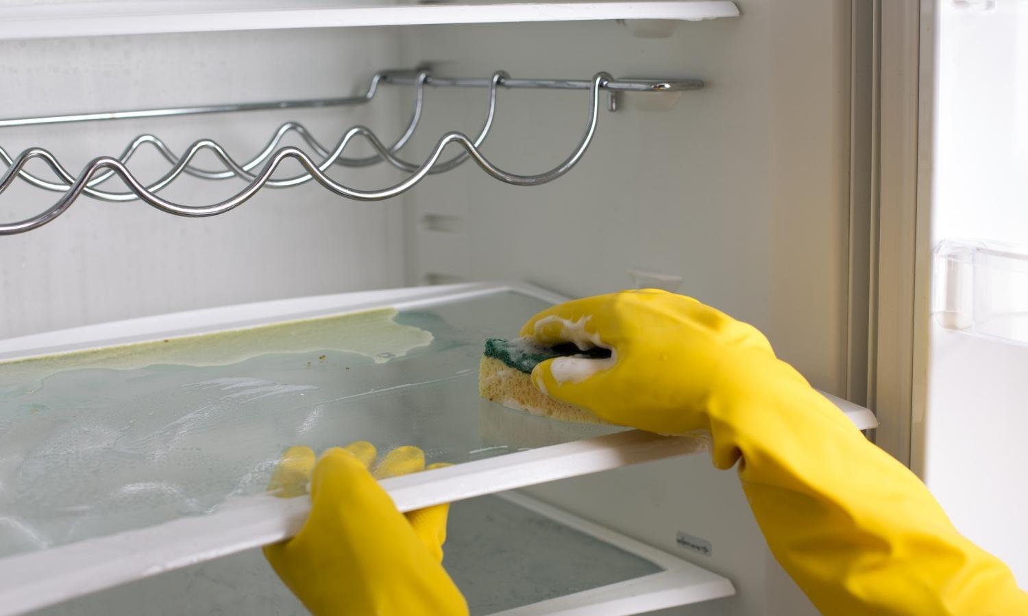 Move Out Cleaning Service Move Out Cleaning Service