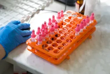 A person with blue gloves places blood vials into an orange rack.