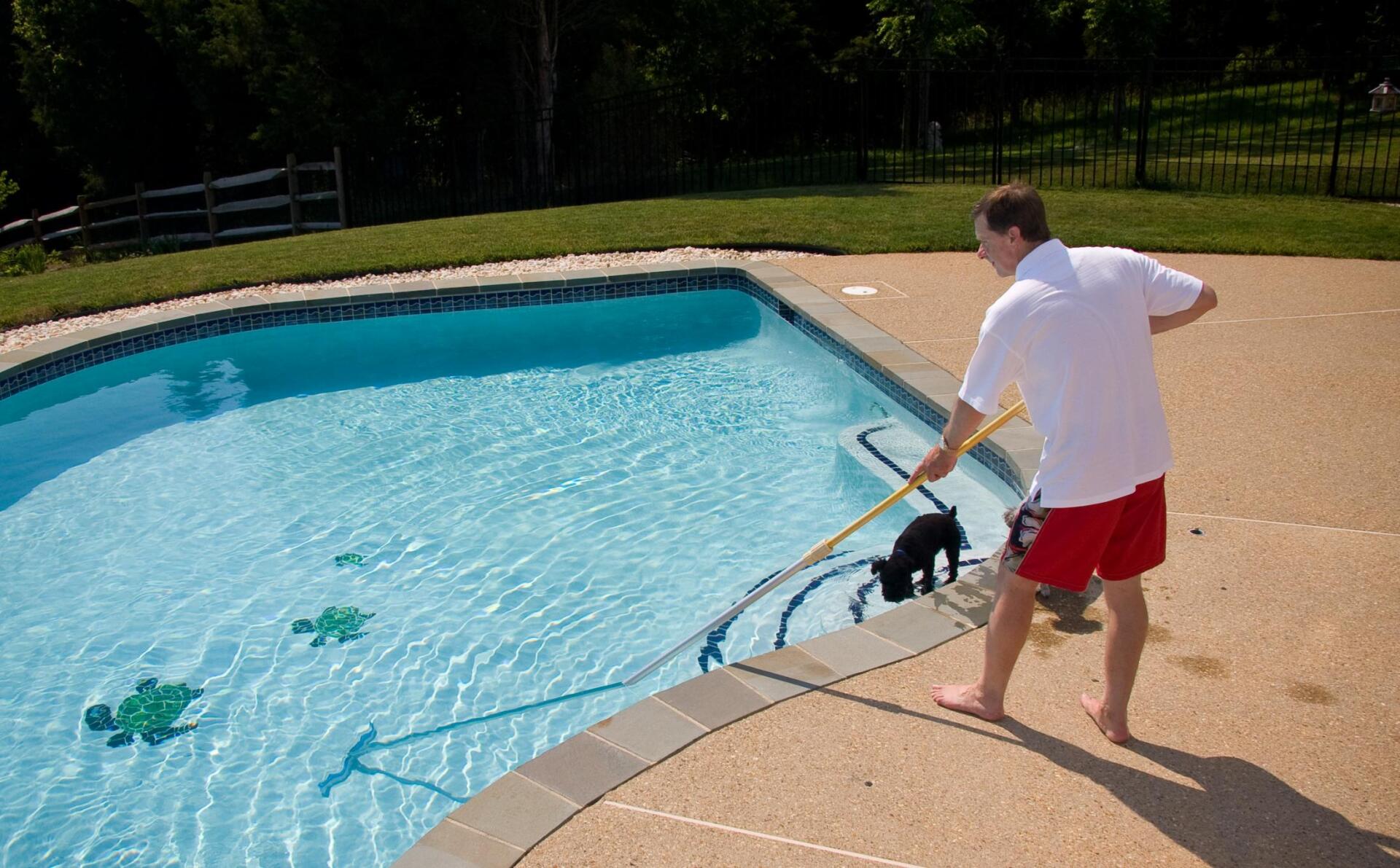 Man in red shorts cleaning a pool with a long-handled vacuum, small black dog in the water.