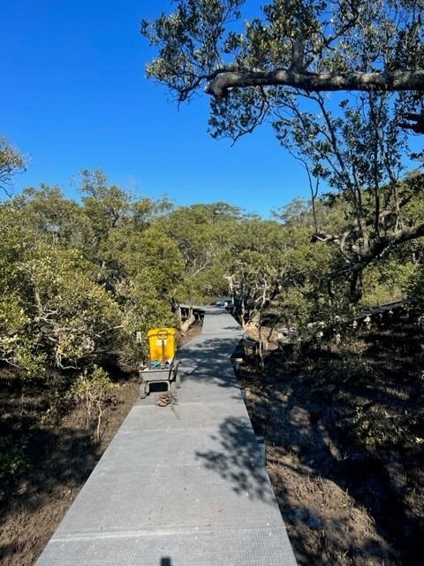 Paved Pathway Winds Through a Lush Green Forest — ALI Civil Pty Ltd in South Nowra, NSW