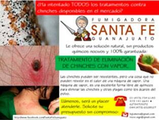 FUMIGADORA SANTA FE GUANAJUATO - Control de plagas