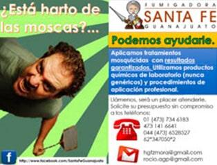 FUMIGADORA SANTA FE GUANAJUATO - Plagas urbanas