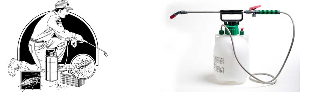 FUMIGADORA SANTA FE GUANAJUATO - Fumigaciones