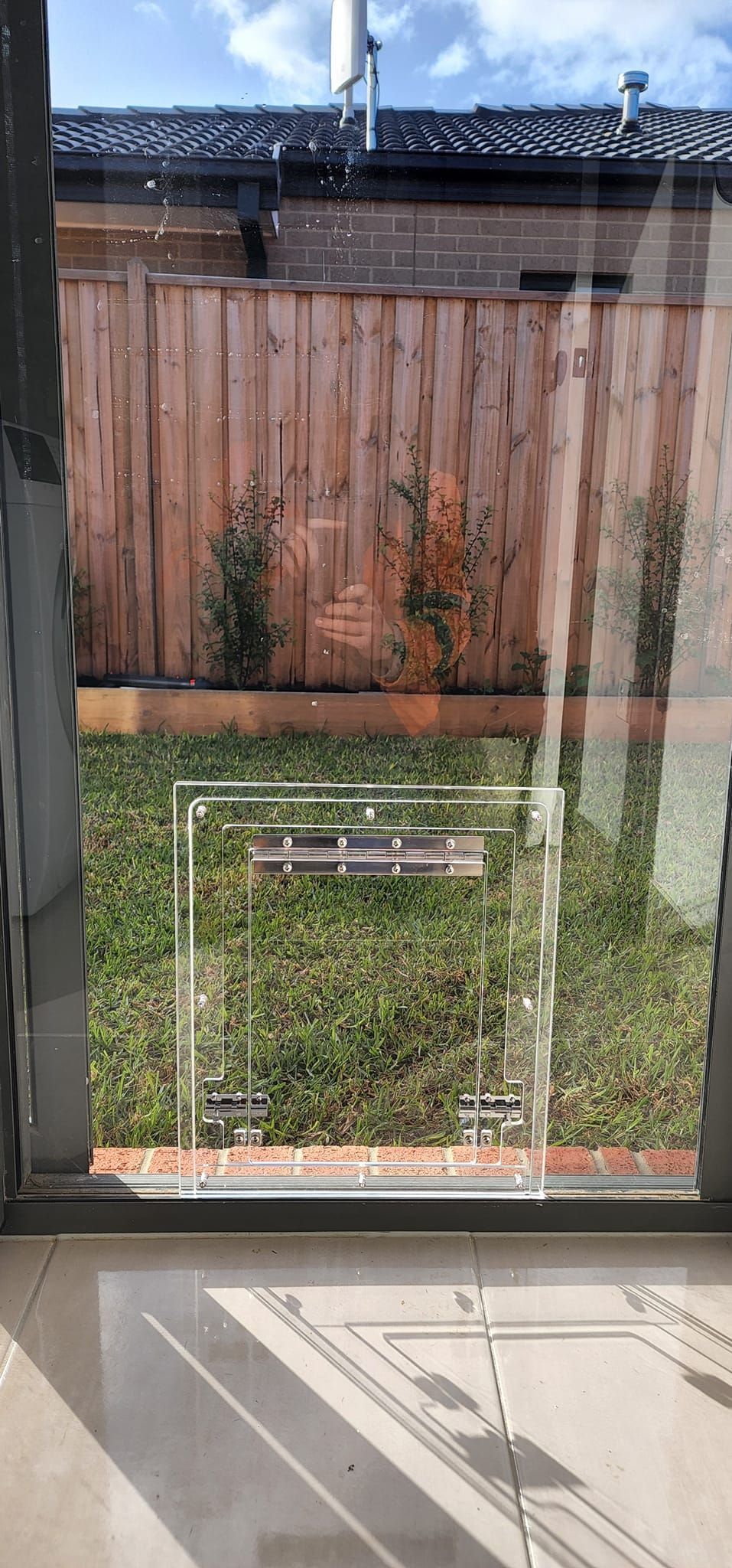 A view of a backyard through a glass door.