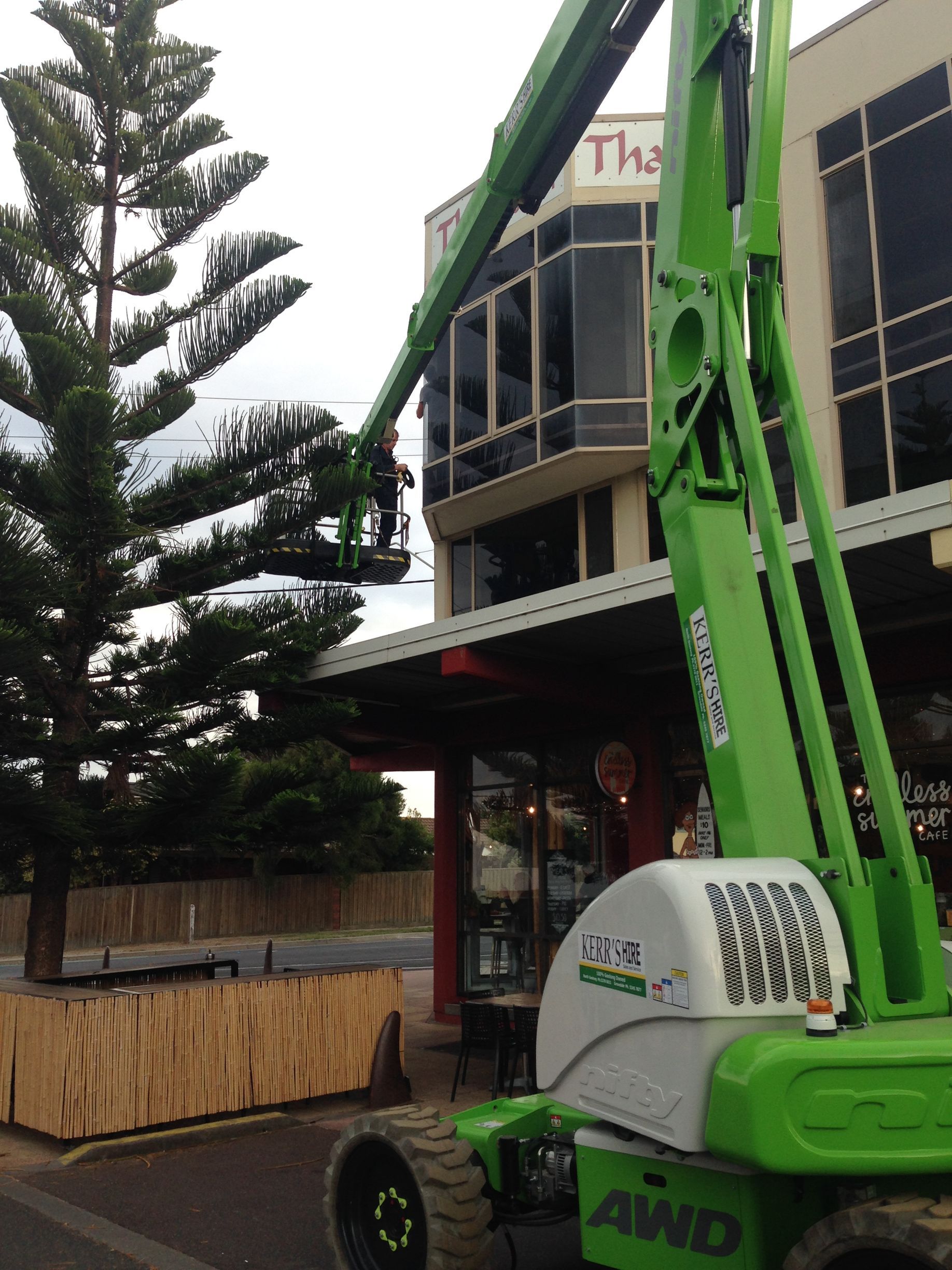 Green lift trimming a tall tree near a building's entrance.