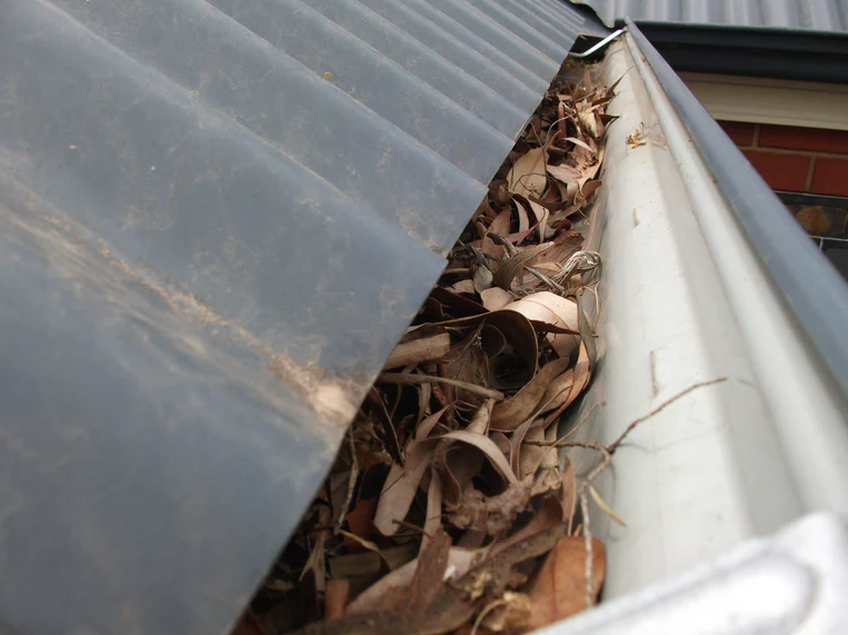 Close-up of a clogged roof gutter packed with dry leaves beside a translucent roof panel