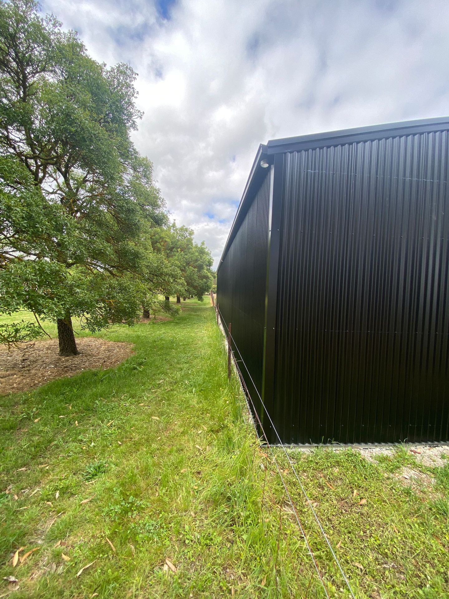 Grassy yard beside a black corrugated metal shed and a leafy tree under a cloudy sky