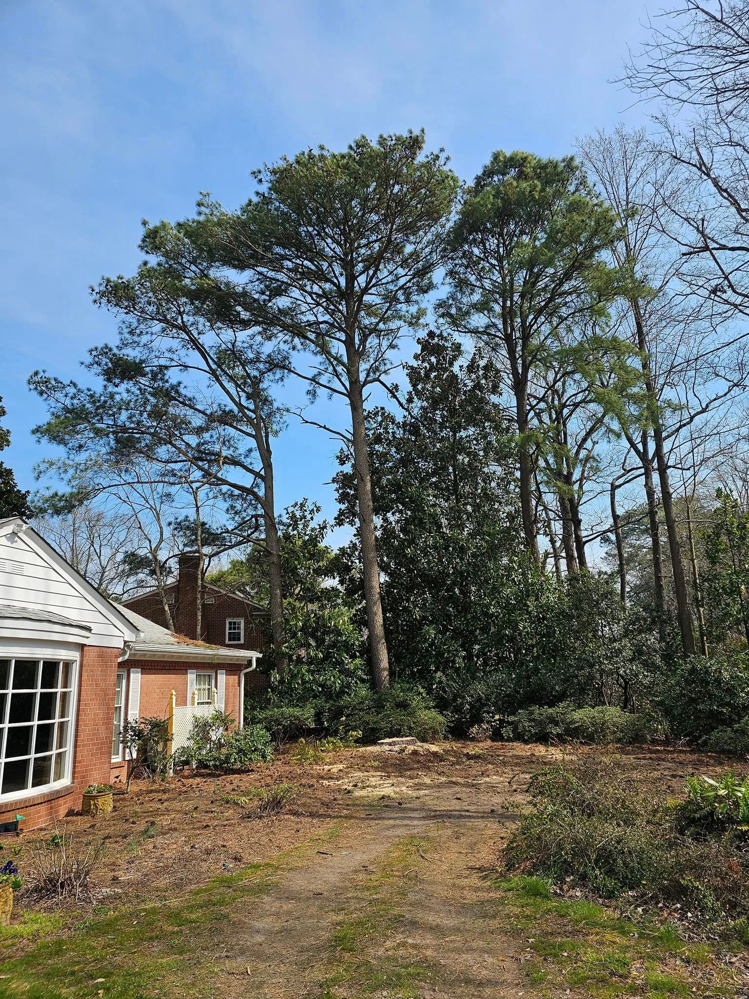 Brick house beside a gravel drive and tall trees under a clear blue sky
