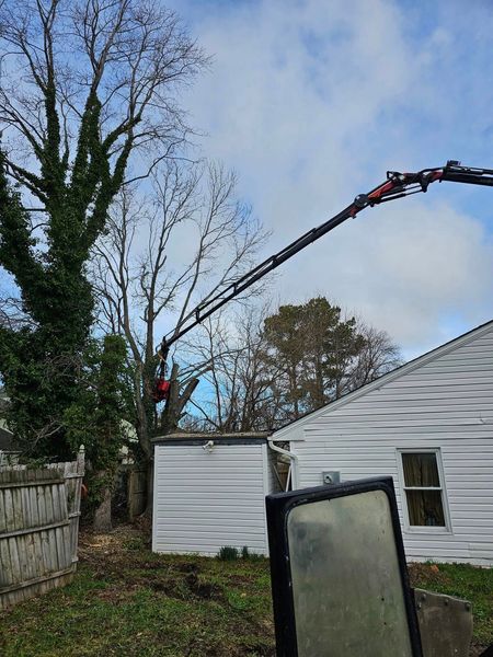 Tree trimming crane extending over a yard beside a white house and shed on an overcast day