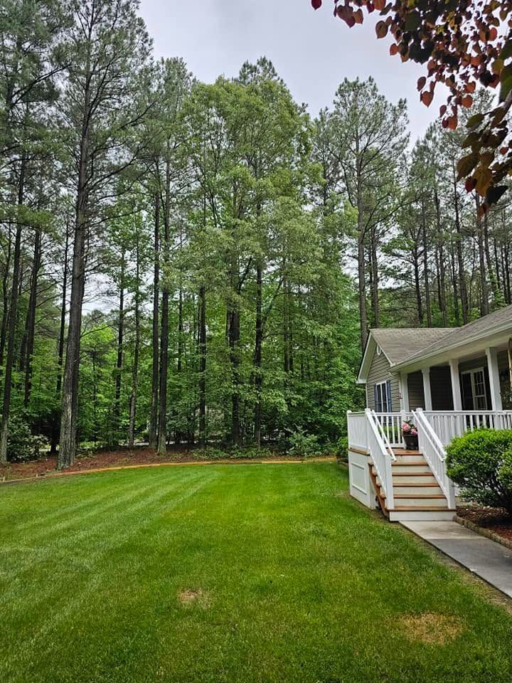 Green lawn beside a white porch, backed by tall pine trees under an overcast sky