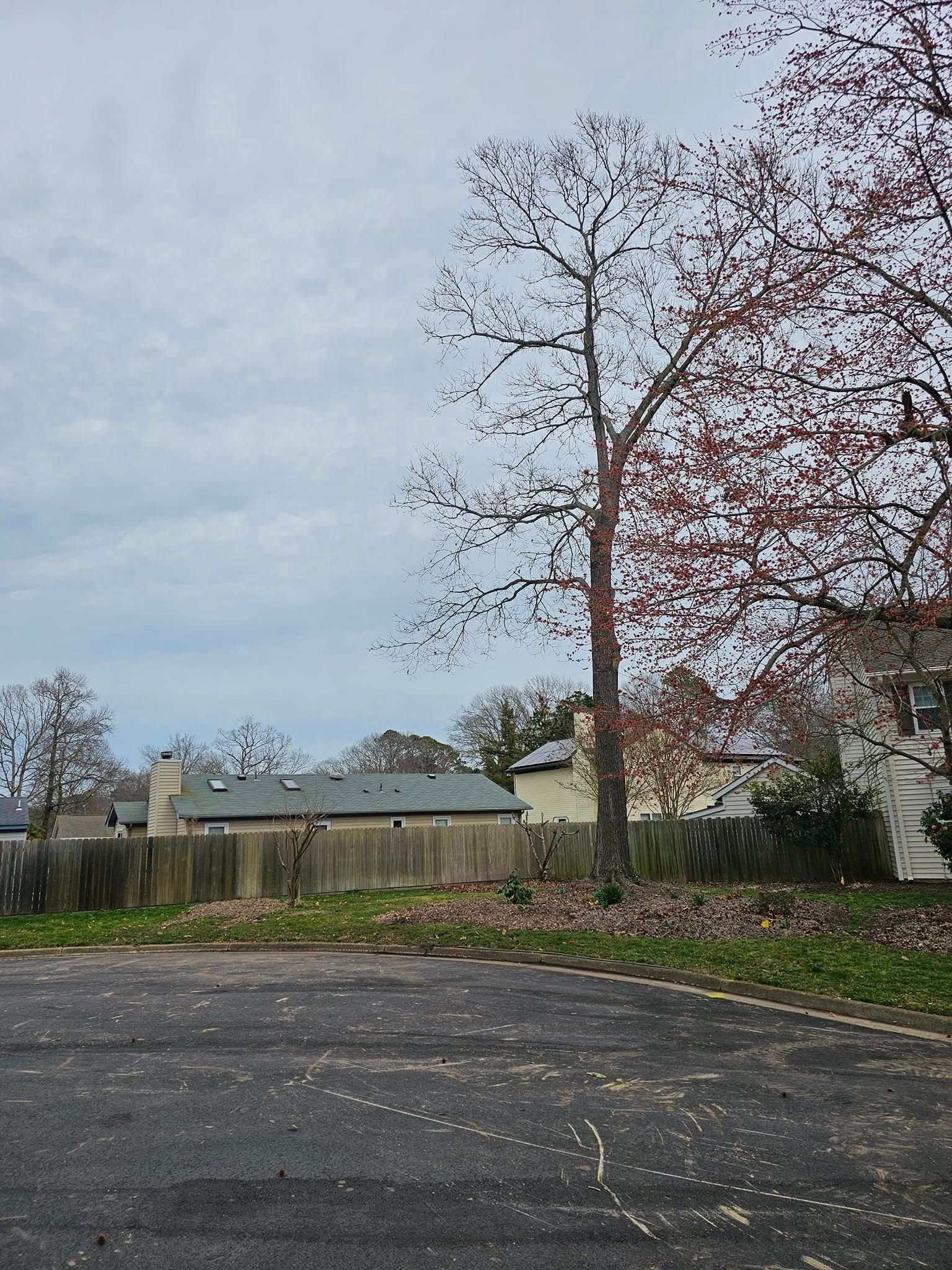 Overcast suburban street with bare trees, a fenced yard, and houses in the background.