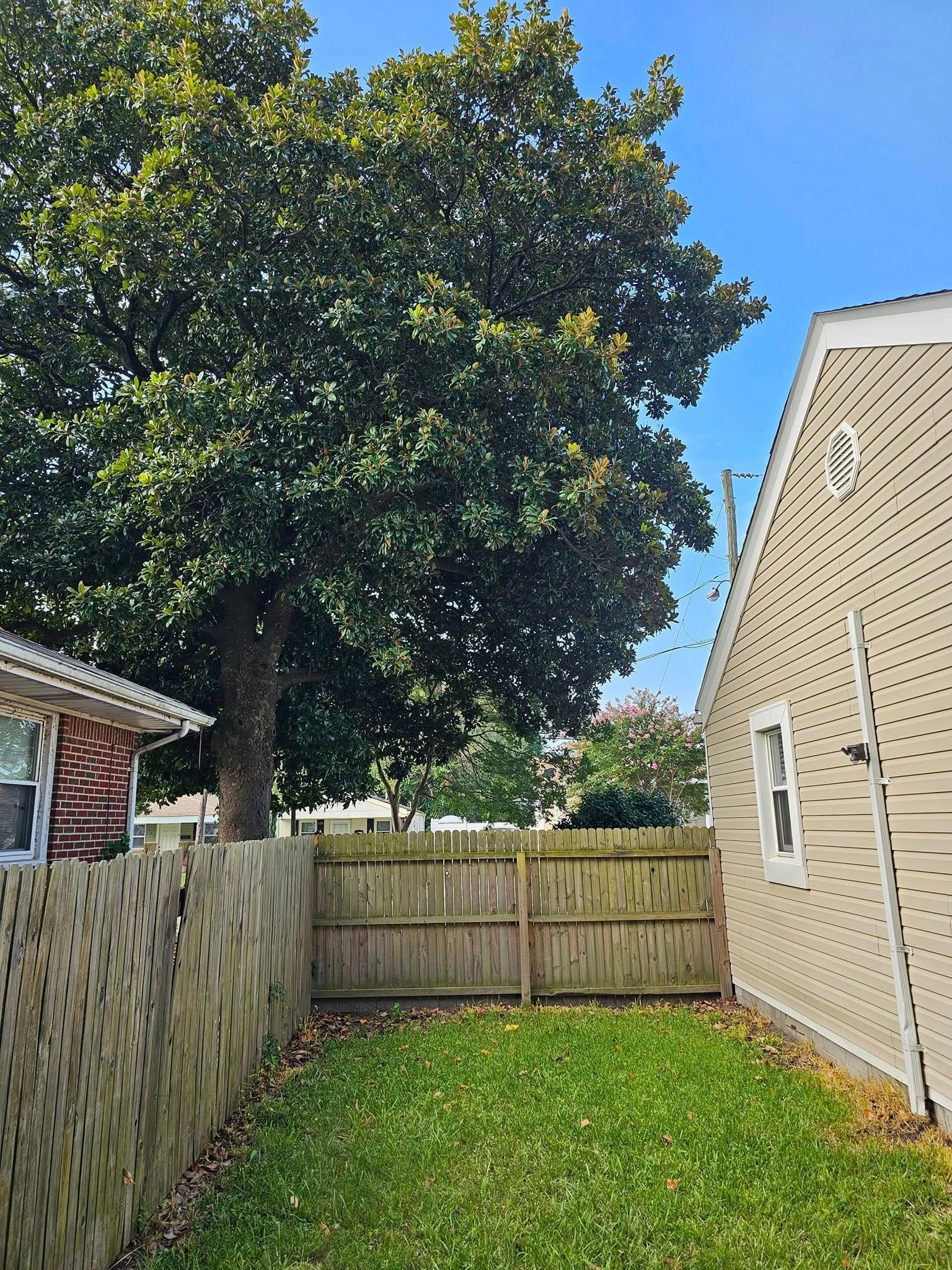Small fenced backyard with grass, a large tree, and beige siding under a blue sky