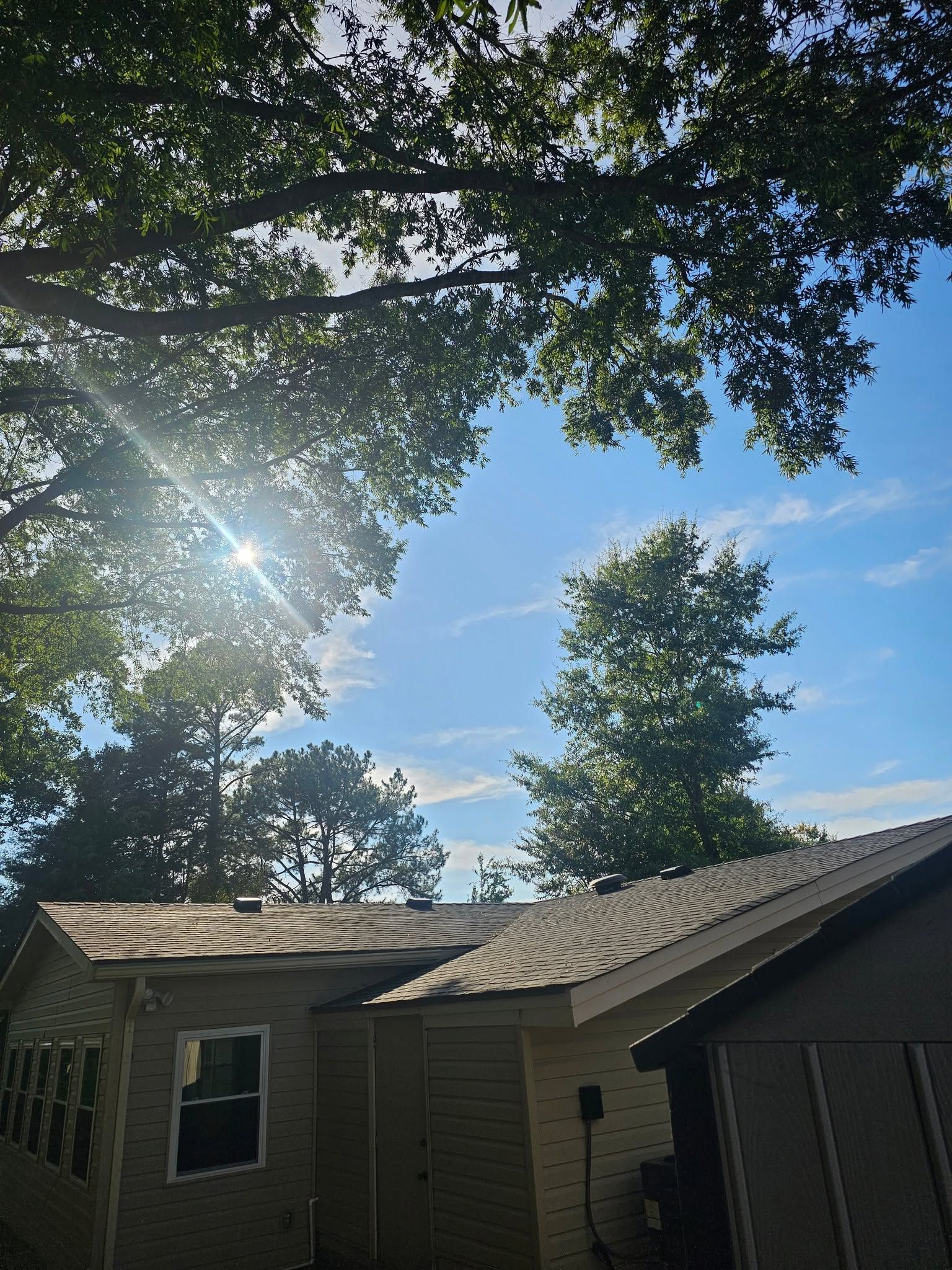 Sunlit house roof under leafy trees against a clear blue sky