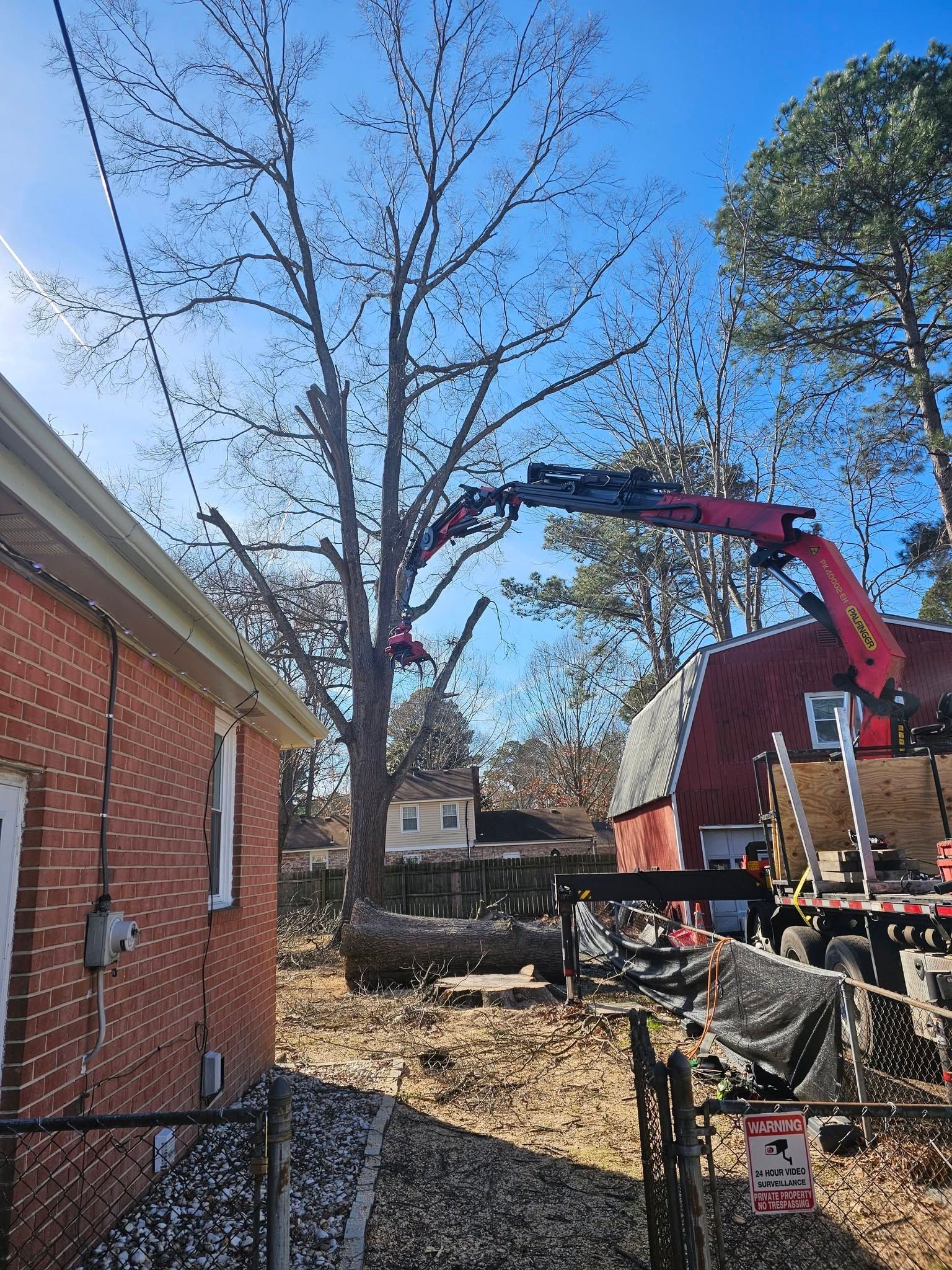 Backyard tree removal with a red excavator beside a brick house under a blue sky