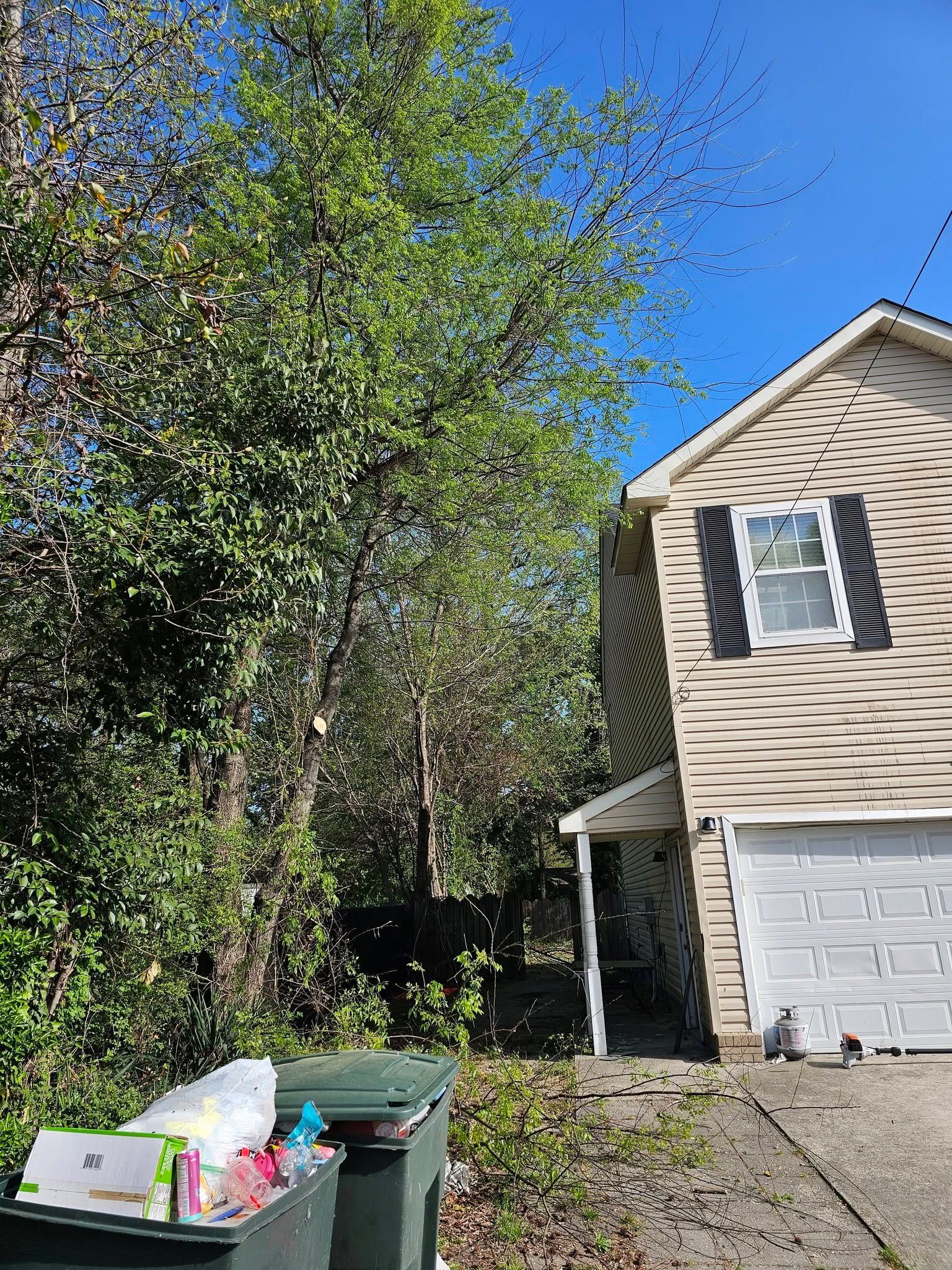 Suburban house with beige siding, garage, tall trees, blue sky, and trash bins in the driveway