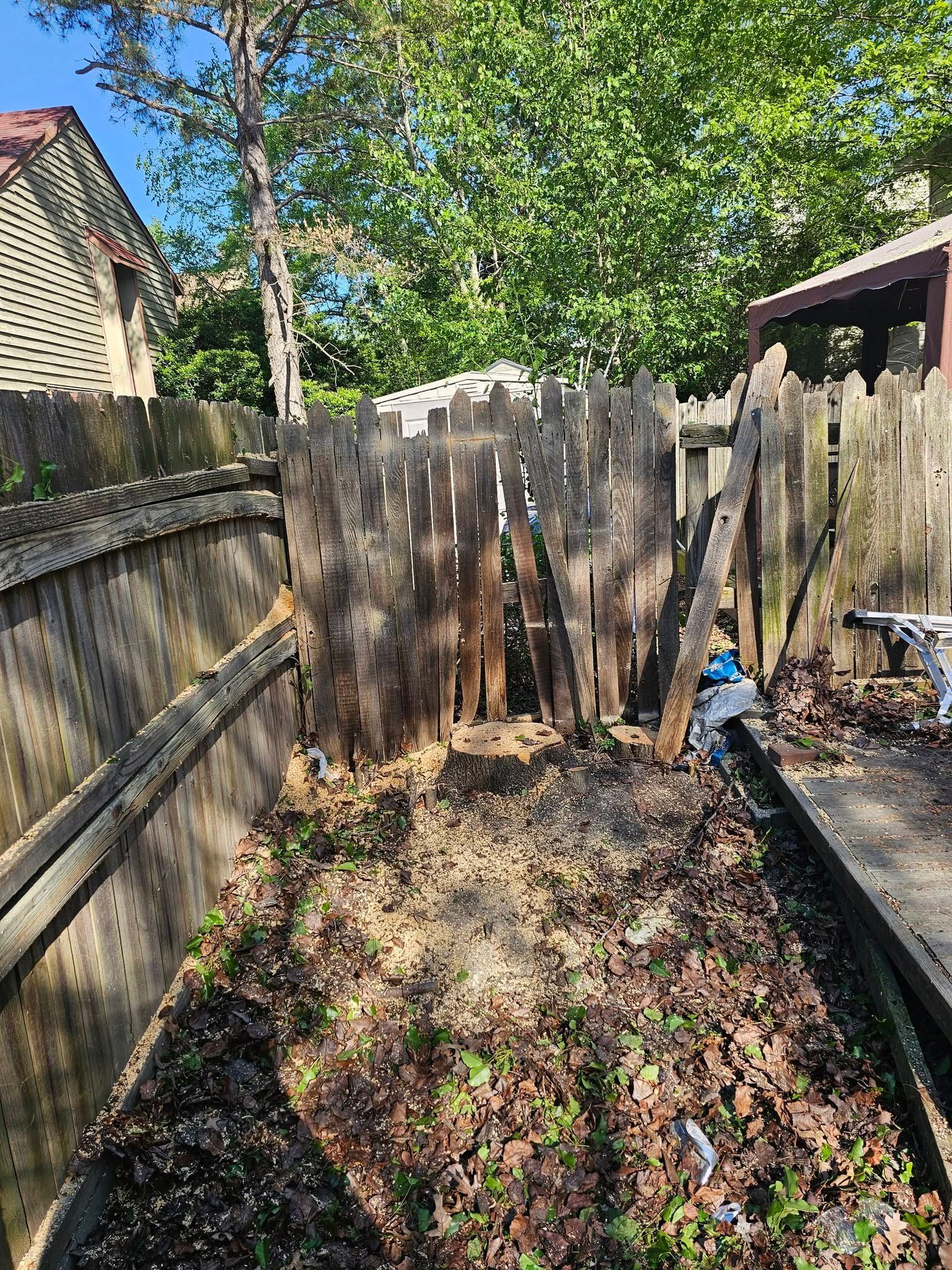 Narrow backyard with a weathered wooden fence, leafy trees, and a small shed in sunlight.