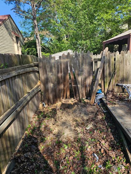 Narrow backyard with weathered wooden fence, trees, and a patchy dirt ground in sunlight