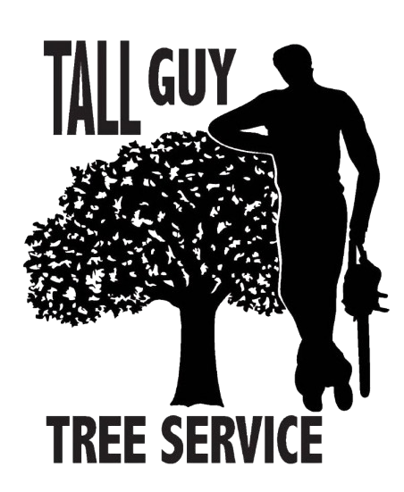 Tall Guy Tree Service logo with black silhouette of a tree and worker on white background