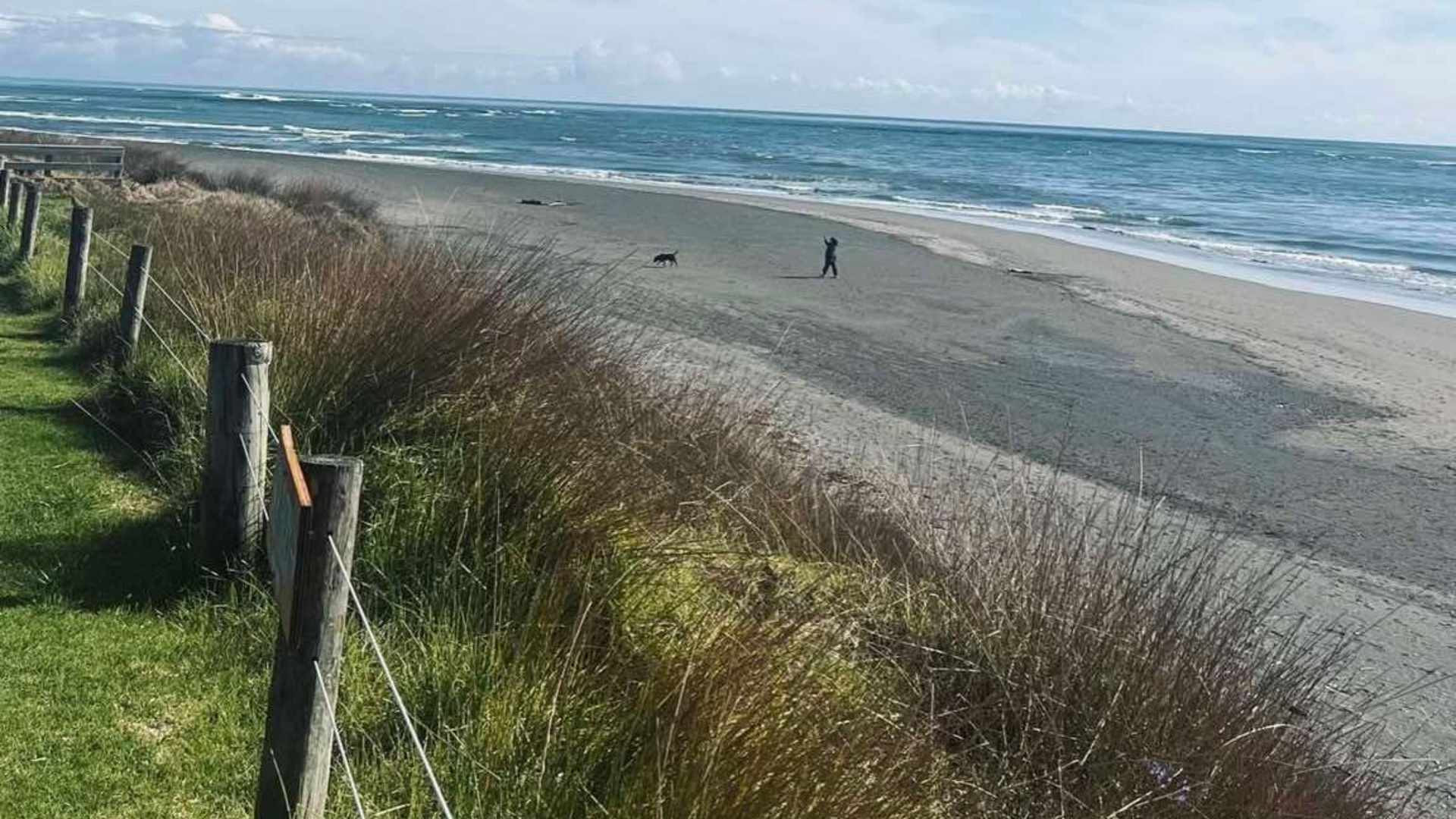 Windy beach with waves, grassy dunes, and a sandy shoreline under a cloudy sky