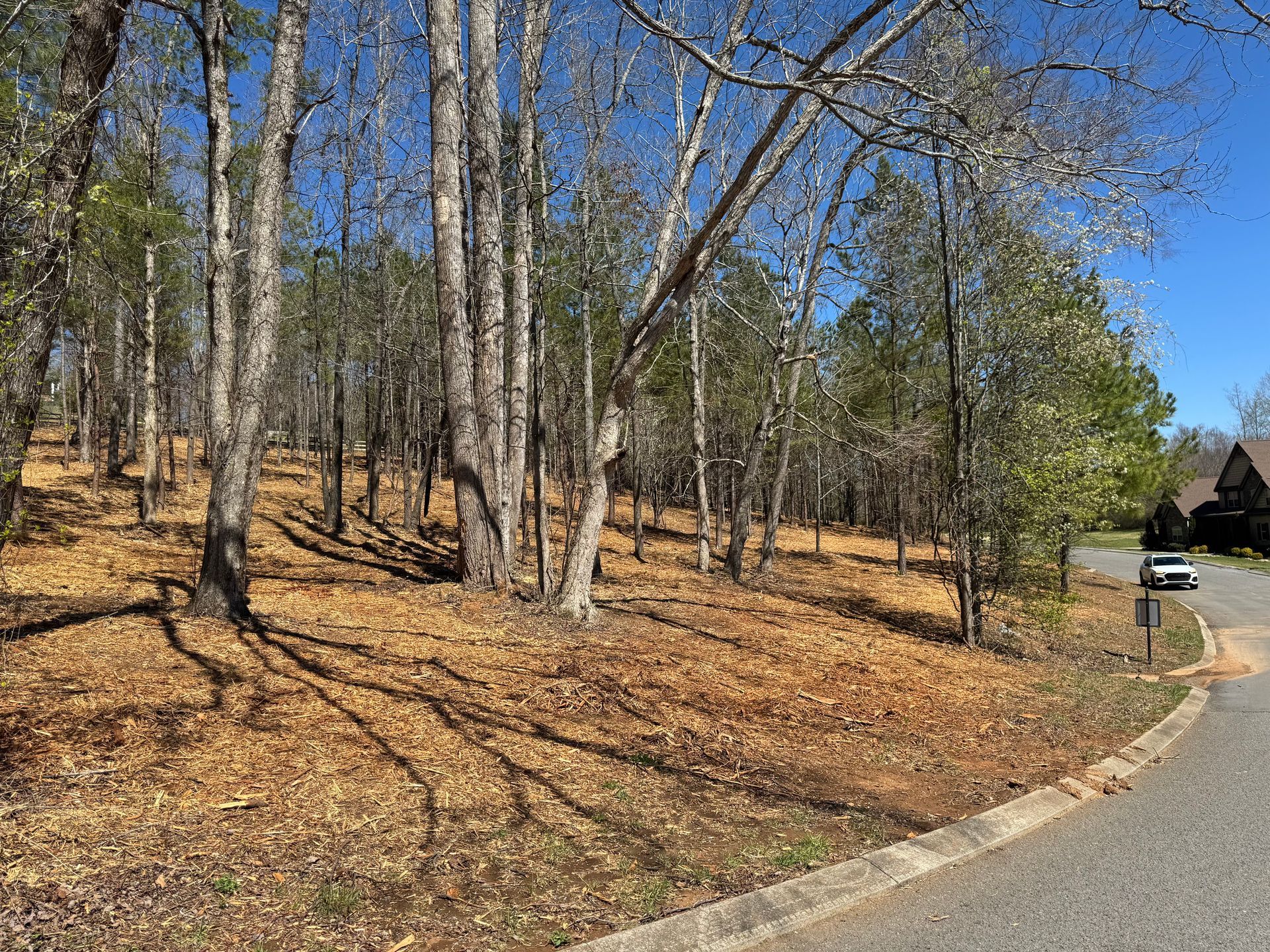 A car is driving down a road next to a forest.