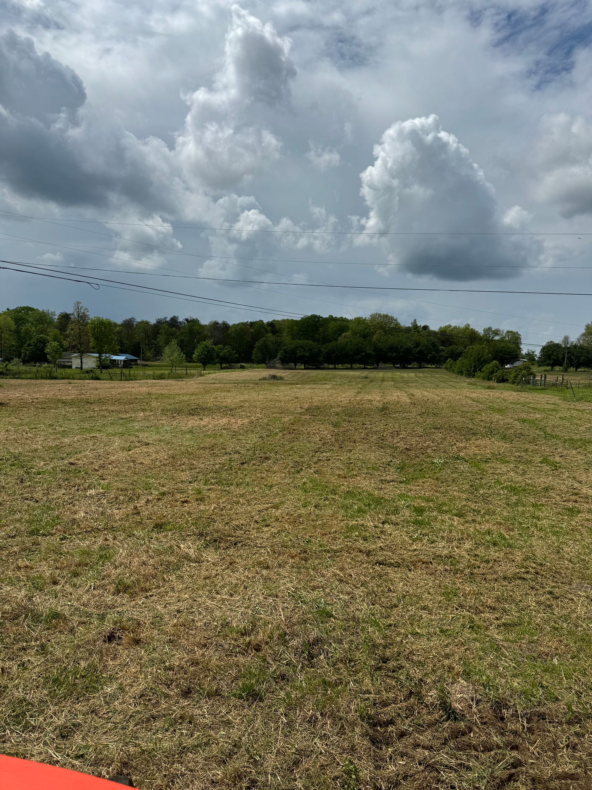A person is flying a kite in a field with trees in the background