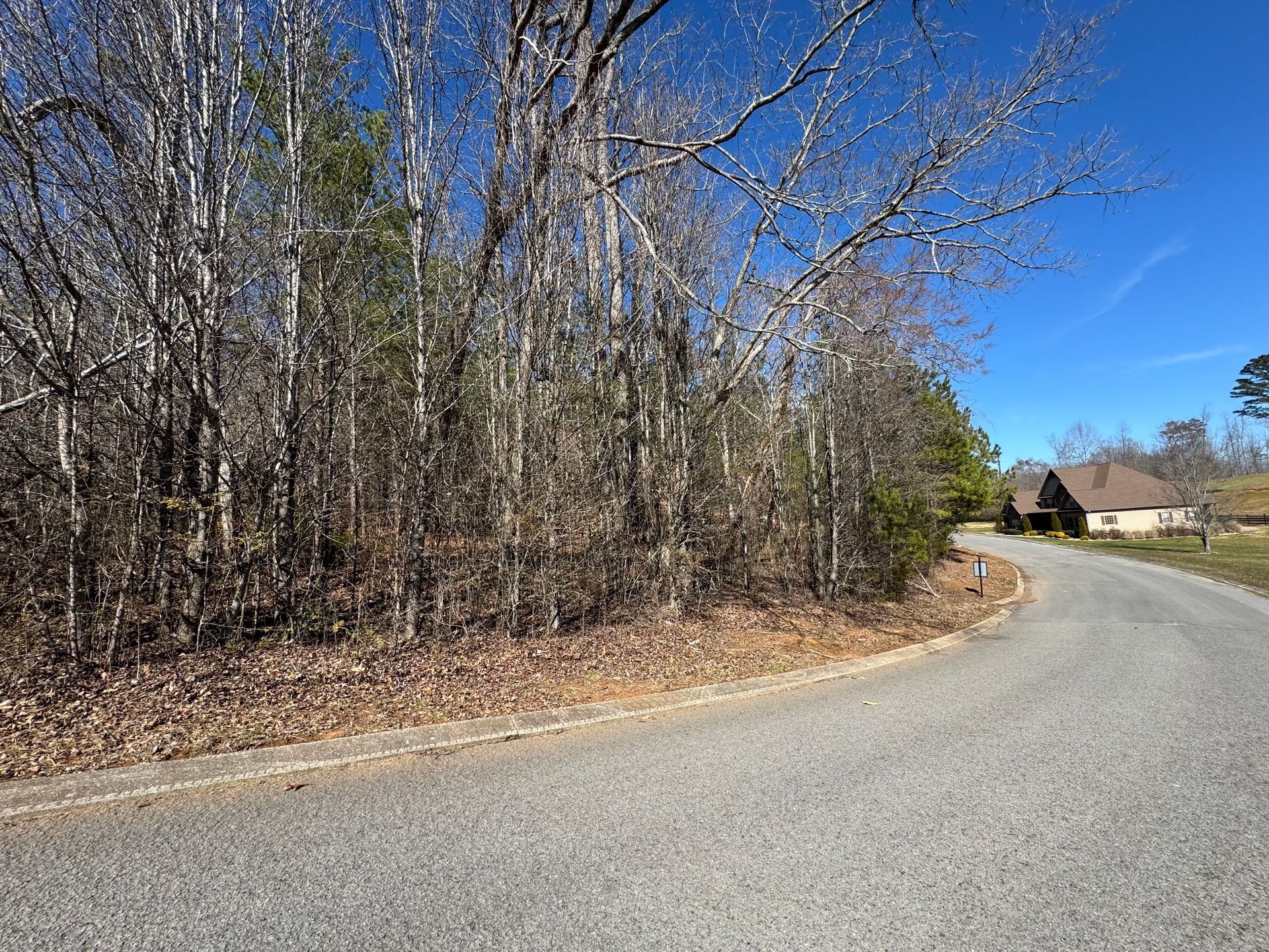 A road going through a forest with a house in the background.