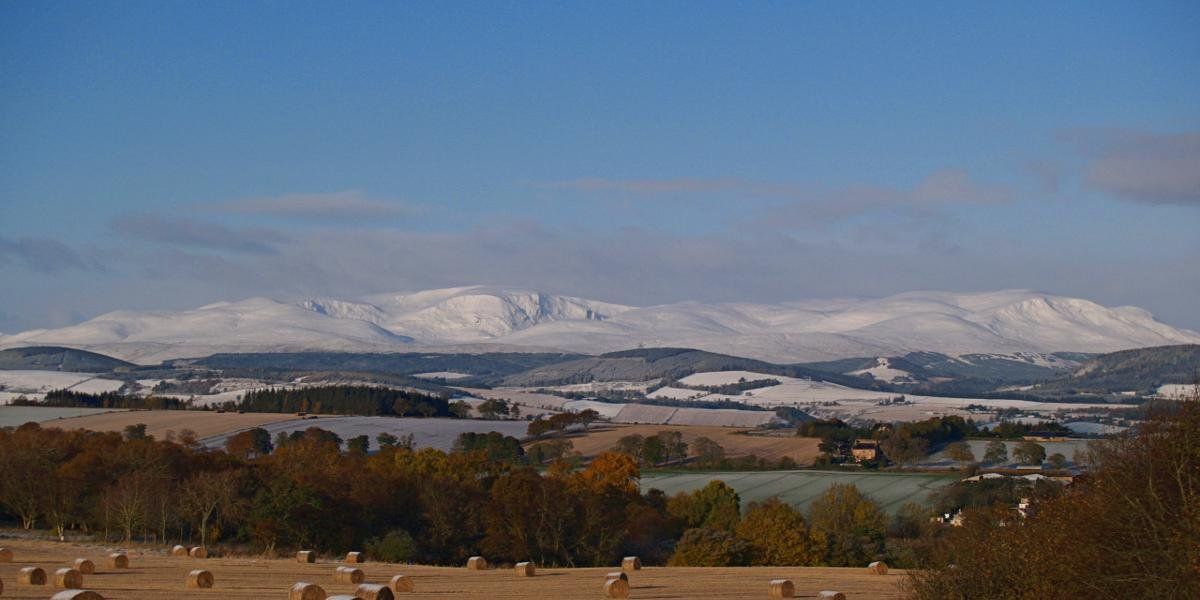 A field of hay bales in front of a snowy mountain range.