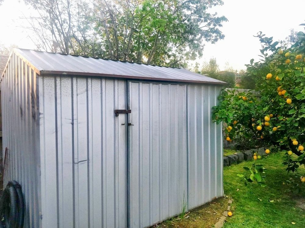 Metal Shed With Closed Doors Next to a Lemon Tree Laden With Yellow Fruit — ShedBoss in Atherton, QLD
