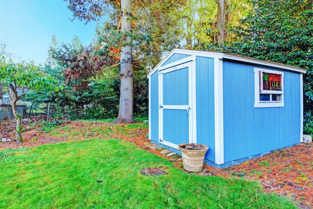 Blue Storage Shed in a Grassy Yard, Surrounded by Trees and a Basket — ShedBoss in Yungaburra, QLD 