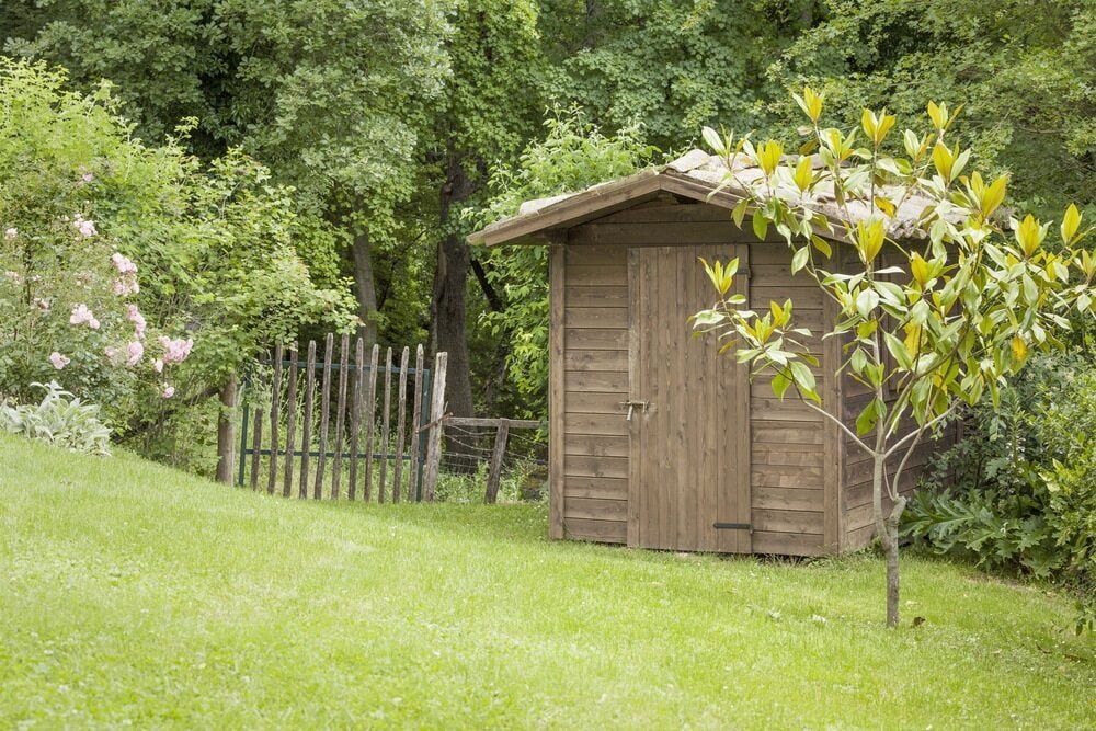 Wooden Shed in a Grassy Yard, Small Tree to the Right — ShedBoss in Tolga, QLD