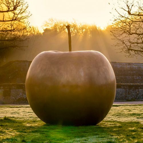 LALANNE
Pomme de New York
