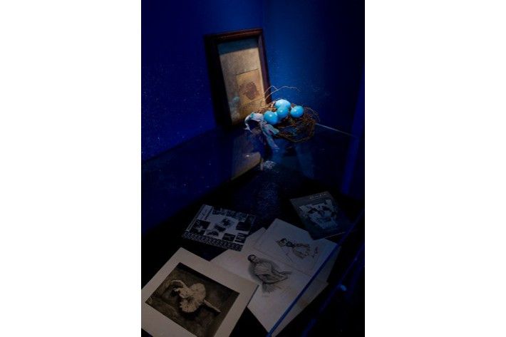 GALLERY ONE - (above) Joseph CORNELL, Karen KILIMNIK, (below) vitrine with ballet ephemera