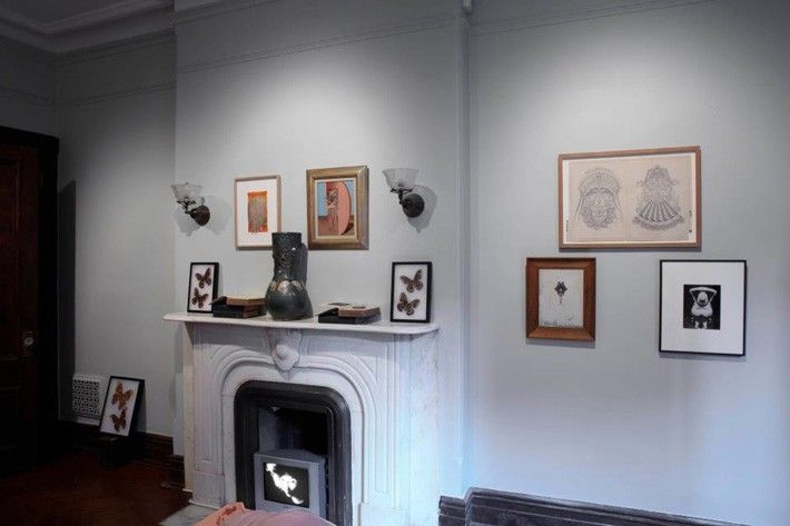 GALLERY TWO left to right - [floor] Attacus Atlas moths