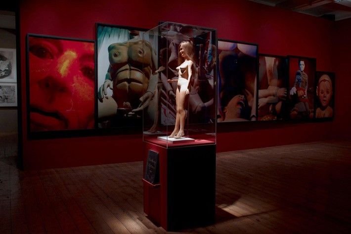 GALLERY ONE - (foreground) Morton BARTLETT, (background) Cindy SHERMAN