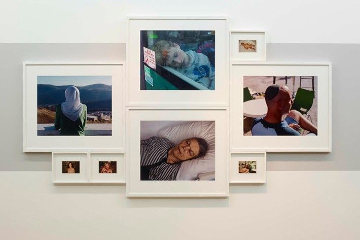 Stephen SHORE - 