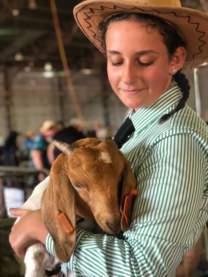 A girl in a cowboy hat is holding a goat in her arms.