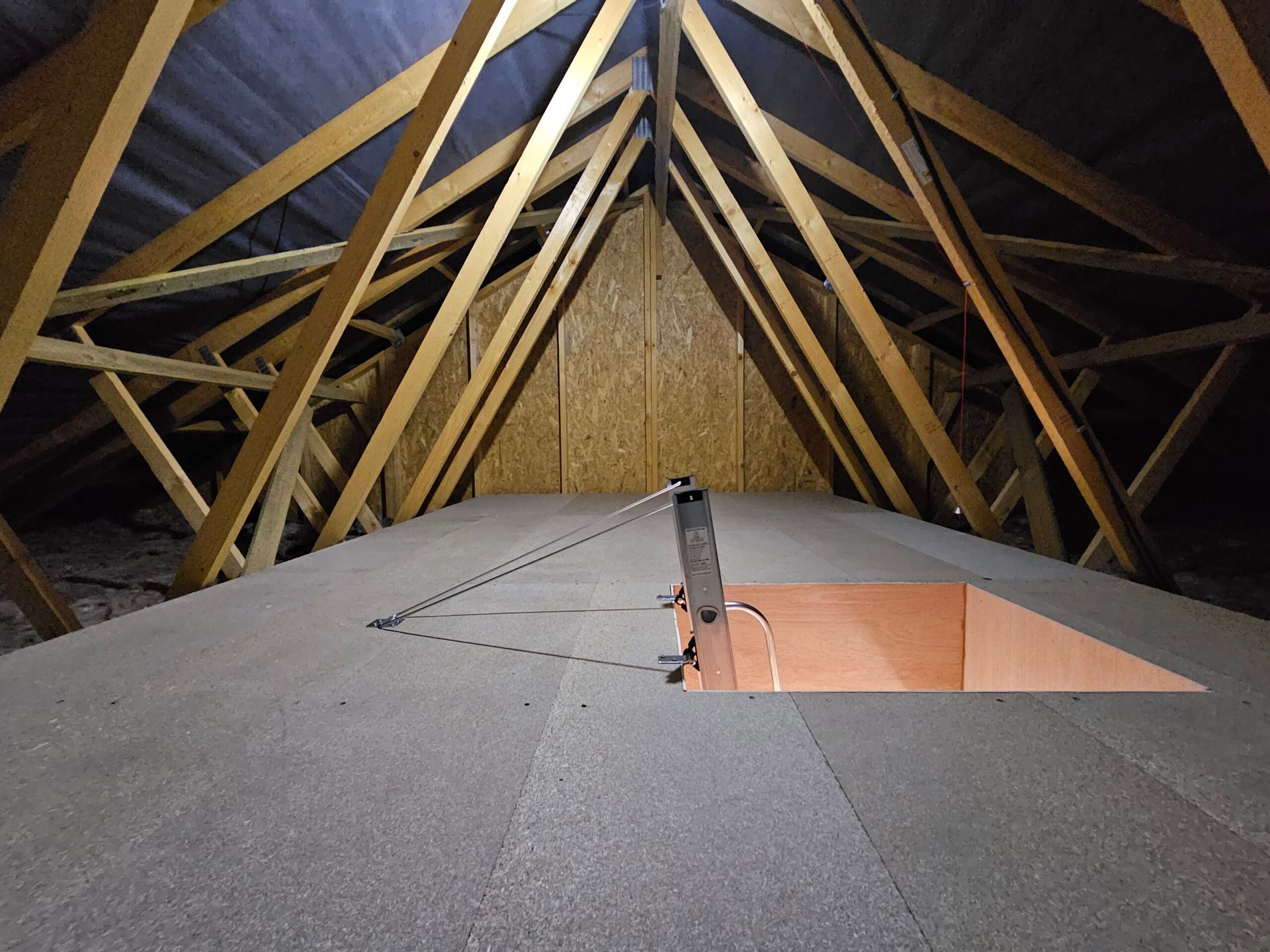Loft access with folding ladder. A light-colored wooden door opens to reveal a metal ladder extending down.