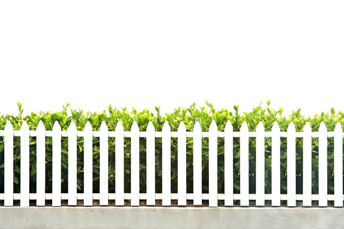 White picket fence in front of green bushes, against a white sky.