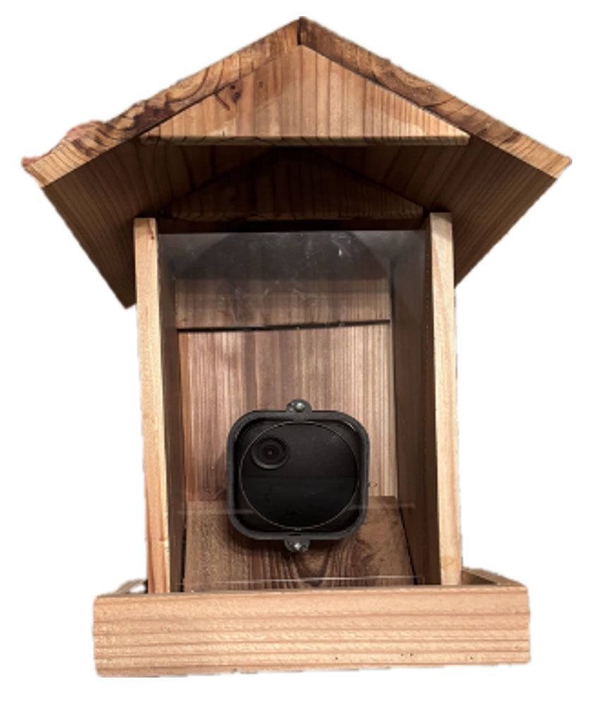 Blink Cam Bird Feeder/Observer