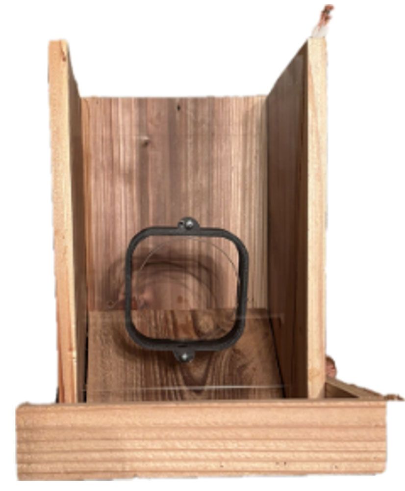 Blink Camera Bird Feeder/Observer