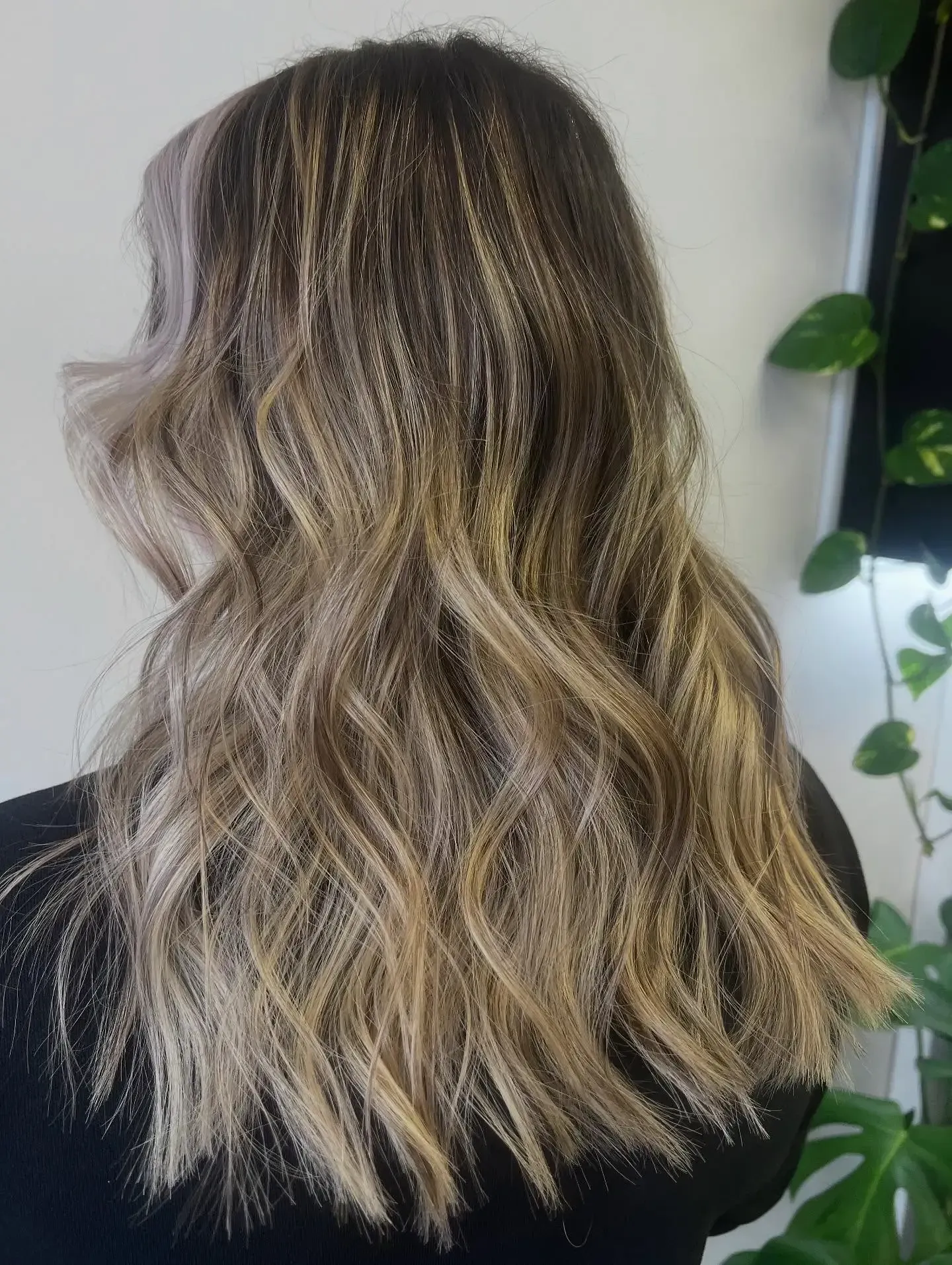 Wavy shoulder-length blonde and brown balayage hair from the back, against a white wall with green leaves.
