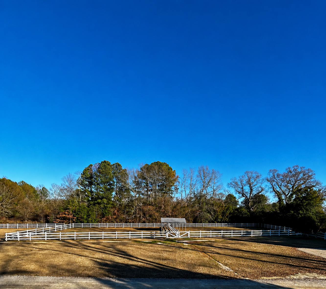 White-fenced horse paddock with trees under a clear blue sky