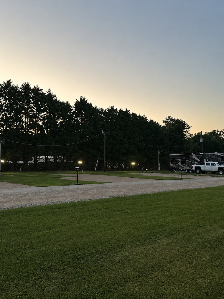 Grassy campsite at dusk with trees, path lights, and parked RVs under a fading sky