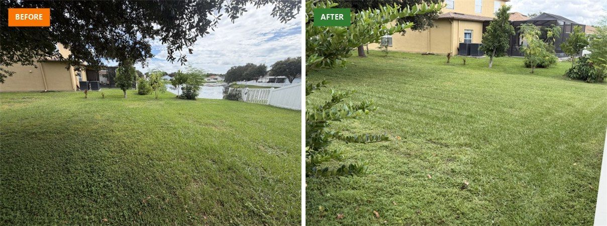 Before and after of a shaggy back yard lawn mowed and striped by Hedges to Edges Lawn Care