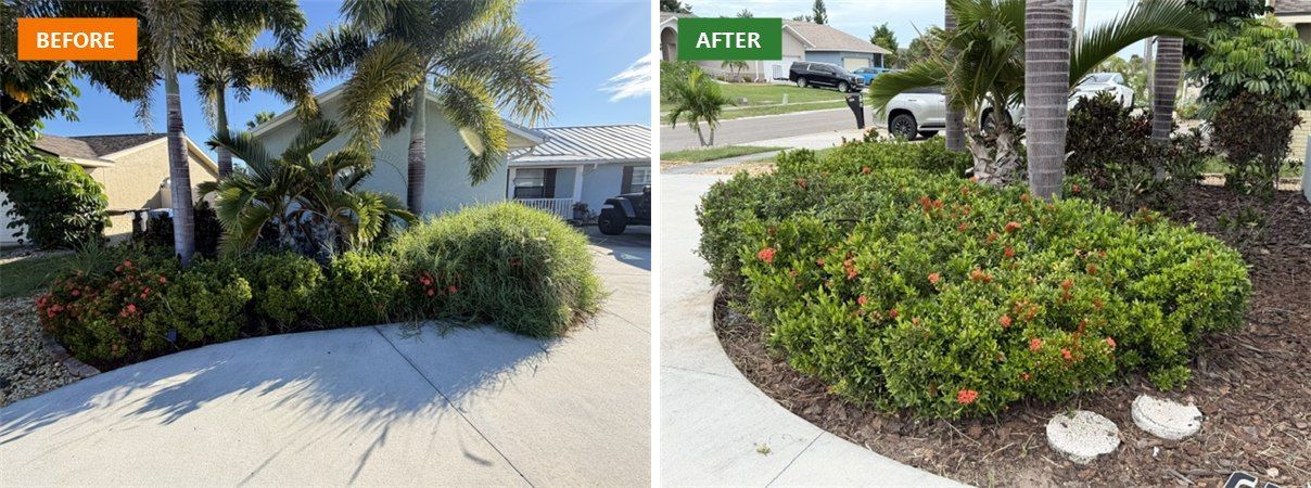 Before and after of a corner landscape bed trimmed and mulched by Hedges to Edges Lawn Care in Apollo Beach