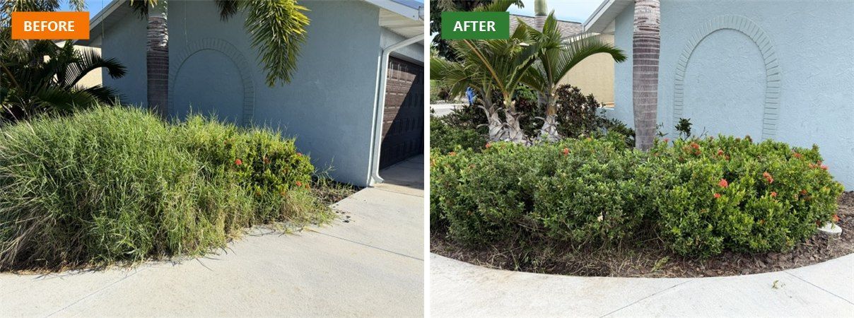 Before and after of an overgrown front flower bed cleared, trimmed and mulched by Hedges to Edges Lawn Care in Apollo Beach