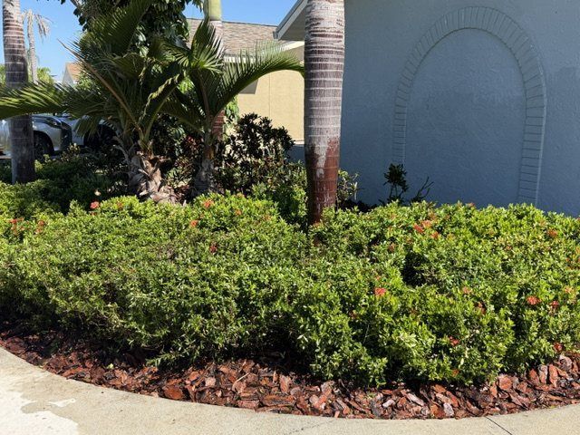 Freshly mulched and trimmed garden bed after a yard cleanup by Hedges to Edges Lawn Care in Apollo Beach