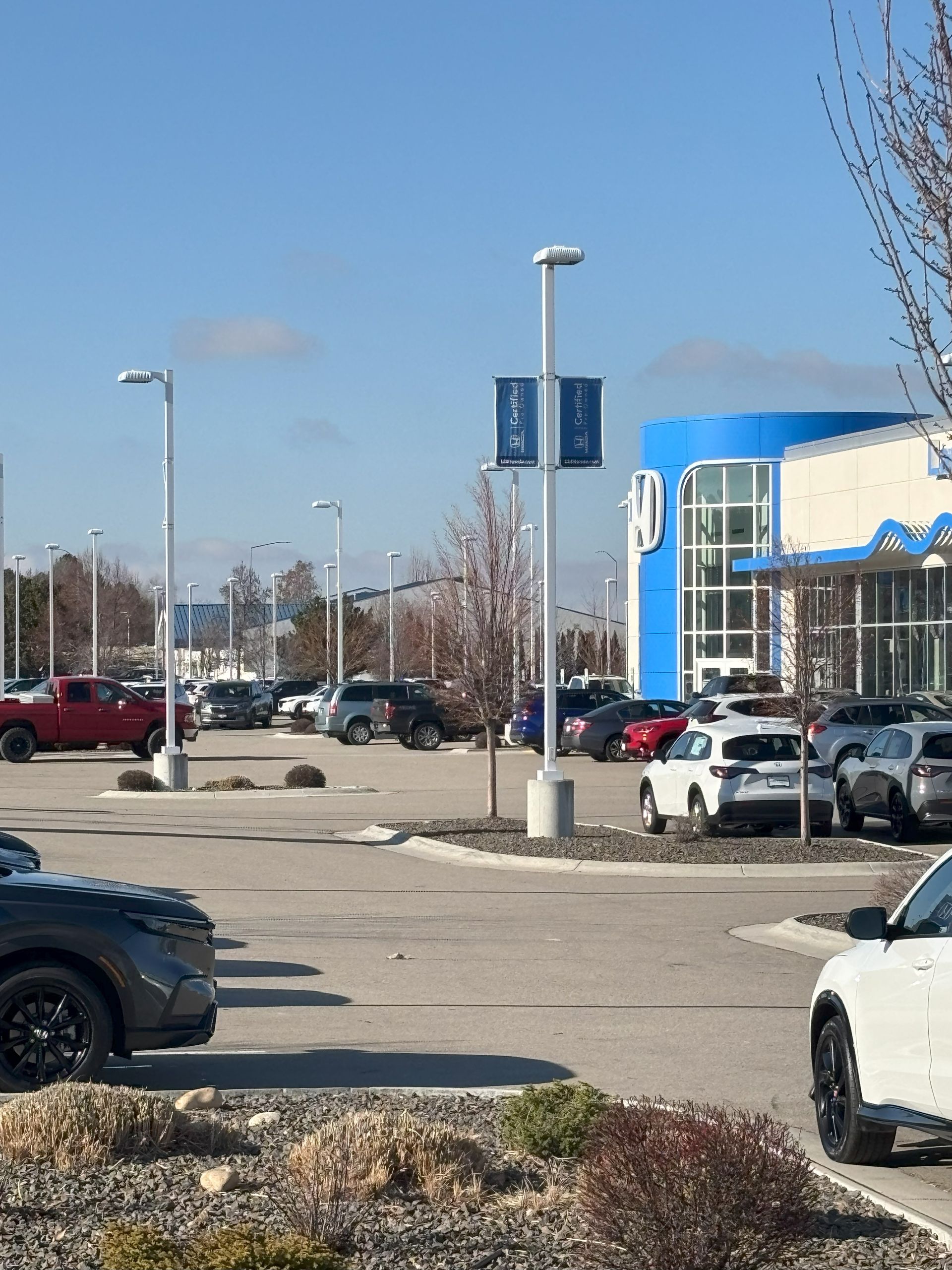 A lot of cars are parked in front of a car dealership