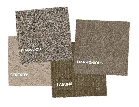 There are many different types of carpets in this picture.